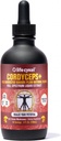 Life Cykel Cordyceps Houba Extract with Kakadu Plum - Energy, Stamina & Vitality Support, Natural Aging Supplement - Non- GMO a Vegan Tincture - 4Fl Oz