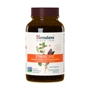 Himalaya StressCare Bylinný dodatek, Podporuje Stress Relief, Energy Support, Relaxation, Okasional Sleeplless, Ashwagandha, Holy Basil / Tulsi, Gotu Kola, Non- GMO, Vegetariánské, 240 Kapsle