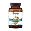 Himalaya Boswellia, Společná podpora mobility a flexibility, Promotes Tissue Preservation, 250 mg, 60 Kapsle