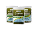 Nejlepší Naturals Creatin Monohydrát 1 Lb čistý prášek (1 LB (balení po 3))
