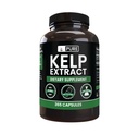 Čisté původní ingredience Kelp extrakt (365 kapslí) Ne hořčík nebo rýžové plniva, Vždy čisté, Laboratorní ověřené