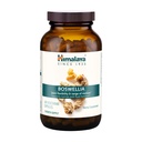 Himalaya Boswellia, Společná podpora mobility a flexibility, Promotes Tissue Preservation, 250 mg, 240 Kapsle