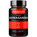 PhiNaturals Organic Ashwagandha Root Extract in Vegan Capsules Equal to 6000 Mg Root - Ashwaganda dodatek pro muže a ženy s 1500 Mg per Serving 30 Serving - 500mg per Vegan Capsule 90 Počet