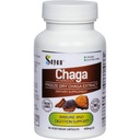 Sayan Sibiřská Chaga Houba Extract - 90 Kapsle / 420mg ea - Přírodní a Wild- Harvest Antioxidant Supplementary - Imunitation System Support & Regulation Body Functions - Vegan, Non- GMO, No Fillers or Additives