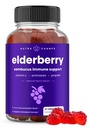 NutraChamps Elderberry Gummies s vitamínem C, Propolis & Echinacea - Imunitní systém podpora Gummy Vitamíny pro dospělé a děti - Max síla 200mg Sambucus Antioxidant