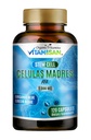 Celulas Madres AFA Stem Natural Cell 120 Kapsle 1000 mg Blue Green Algae Non GMO Gluten Free Aphanizomenon Flos- aquae celula Madre suplement
