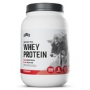 Levels Grass Fed syrovátkový protein prášek, bez umělých látek, 24G proteinu, Strawberry, 2LB