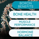 Boron Mineral Supplement - 30mg color 124; 60 Počet colum124; Stopy Minerály Vaše tělo potřebuje udržet optimální zdraví a wellness.