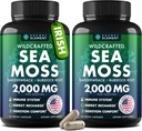 Mořské kapsle - Irský Moss Moss Pokročilý s Burdock Root, Bladderwrack & Muira Puama pro imunitu, Gut, & Energy - Superfood Moss Moss doplňky w / Syrový Moss Moss Powder (2 Pack)