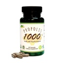 GREENBOW Propolis 1000mg _ NonGMO Vyrobeno s organickou propolis _ 60 Kapsle _ VEGAN Capsules