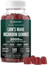 Lions Mane Houbové gumy pro dospělé, 140 hrabě Bulk Lion 's Mane Chewables, High Potency 10: 1 Organic Extract je 2000mg, dodatek podporuje Duševní jasnost, Focus, Mood a Mood Fog