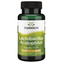Swanson Lactobacillus Acidophilus 2 Billion Cfu 100 Kapsle