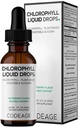 Codeage Chlorofyl Tekuté Kapky Doplněk - Vegan Chlorofyl 50 mg na servírování, Organic Peppermint Flavor Clorofila Drink - Non- GMO, gluten- Free, Vegan - 2 fl oz