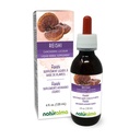Naturalma Reishi (Ganoderma lucidum) Fungus nebo Houba Alcohol- Free tinktura - 4 fl oz Liquid Extract in Drops - Bylinný dodatek - Vegan