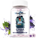 GABA doplněk Gummies 500 mg: Žvýkací GABA L-theanine dodatek Gummies pro dospělé děti non melatonin spánková pomoc klid mysl s 5-HTP pro stres Relief Zzz Lepší cukr zdarma Grape Flavor 60CT