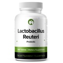 Lactobacillus Reuteri Probiotický dodatek 240 Tablety 3 bilion CFU Probiotika pro muže a ženy podporuje střevní stravovací & Gut zdraví (240, Lactobacillus Reuteri)