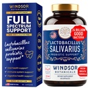 Lactobacillus Salivarius Probiotic - 24bn CFU L Salivarius Zubní probiotika pro zuby a dásně - Zlé dýchání Léčba dospělých, imunitní podpora, Digestivní zdraví - 60 Oral Probiotic Kapsle