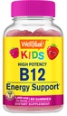WellYeah Vitamin B12 Gummies for Kids - Zvýšení energie, zlepšení funkce mozku a posílení imunitního systému - Non- GMO, gluten- Free - Great Ochutnávání Berry Flavor - Snadno žvýkat - 60 Gummies