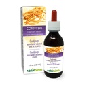 Naturalma Cordyceps (Cordyceps sinensis) Fungus nebo Houba Alcohol- Free tinktura - 4 fl oz Liquid Extract in Drops - Bylinný dodatek - Vegan