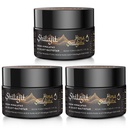 Shilajit Purest Himalayan Organic Shilajit Resin - Gold Grade 100% Čistota Šilajit s Fulvic Acid & 85 + Stopy Minerály Komplex pro energii a imunitní podporu, Balení 3 (6 měsíců dodávky)