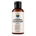 AMANDEAN Liposomal Glutathione dodatek. Liquid Reduced Setria 500mg. Imunitní podpora, Brain Health, Jaterní Detox, Skin Health. Fosfatidylcholin z Non- GMO slunečnice Lecithin. Soy- Free & Vegan.