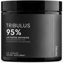 Tribulus Terrestris pro muže - Ultra vysoká potence 25: 1 Extrakt s 95% saponiny - 1300mg čisté a koncentrované formule - 13-stranická laboratoř Testovaná na čistotu a kvalitu - 240 Kapsle