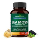 SandHUHERBALS Moss Mosy Kapsle s černým semenným olejem Ashwagandha Ginger Burdock Root 124; Advanced Seamoss 60 Count OF 124; Všichni muži Věk žen