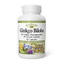 HerbalFactors by Natural Factors, Ginkgo Biloba, Podporuje paměť, duševní výkon a zdravé funkce mozku, 60 kapslí (60 porcí)