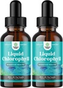Mint ochucené chlorofyl kapalné kapky - Vegan tekuté chlorofyl kapky pro imunitní podporu Gut zdraví Péče o pleť Detox Játra Podpora energie a špatný dech - Vysoká potence vnitřní deodorant - 2 Pack