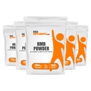 BulkSupplements.com HMB Powder - jako doplněk vápníku HMB, Beta-Hydroxy Beta- Methylbutyrát - bezochucený & gluten zdarma, 1g na servírování, 1kg (balení 5) (11 liber)