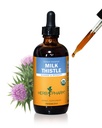 Herb Pharm Mléko Thistle Seed Extract pro podporu jaterních funkcí - 4 Ounce (DMILK04)