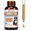Turecko Tail Houba pro psy CZ124; Pomáhá zvýšit imunitní systém, je zdravé Prebiotický, & Mnohem více Duševní 124; Turecko Ocas pro psy CZ124; Houby pro psy CZ124; Pes Houba doplňky 124; 1 fl oz
