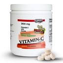 Landau Žvýkací vitamín C Candy 300 Mg. Great Ochutnávání Berry Flavor - 500 CHW