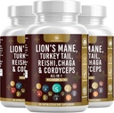 Houbový dodatek s lví hřívou krůtí ocas Reishi Cordyceps Chaga Marshmallow Root - 180 Počet