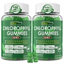 Chlorofylové gumy, Super Green 18-IN-1 s organickou Chlorella Spirulina, pšeničná tráva, hořčík, prebiotický fiber pro vnitřní deodorant *, Comfort Digestion, metabolismus, imunitní, čerstvé tělo zápach, 2Packs