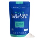 Earth Echo Multi kolagen Peptidy, Hydrolyzované kolagen s vitaminem C a Hyaluronic acid, podporuje Radiant Skin, Zdravé klouby, Gut zdraví a imunitní funkce, Dairy- Free, 26 Služeb