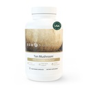 EcoNugenics Ten Houbový dodatek: Denní imunitní podpora, 120 Kapsle - Lví hříva, Reishi, Cordyceps, Turecko Tail - Energie, Gut zdraví, játra, ledviny, Cholesterol & Nootropní Brain Support