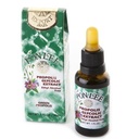 Pon Lee Brazílie Green Bee Propolis tekutý extrakt bez alkoholu 30ML 1 balení