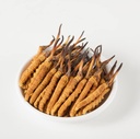 Wild Cordyceps, Celý Himálian Cordyceps Sinensis Houba, Genuine a velmi vzácné, High Class, Boost Energy, Reduce Stress for Men and Women, 5 Grams (13 + 17pic) from Lamjung Nepál Keeda Zadi