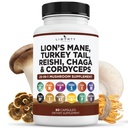Lions Mane Houbový dodatek s krůtím ocasem Reishi Cordyceps Chaga s marshmallow Root - 1- Pack
