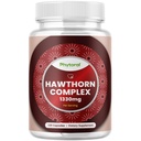Vysoké síly Hawthorn Berry Kapsle - Čistá antioxidant Hawthorn Berry Dodatek s Listem & Květinový extrakt 4: 1 pro zdraví a stravení srdce - Energetická podpora pro muže a ženy - 120 Count Pack