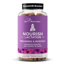 Nurish Lactation Supplementation - Poporodní podpora pro zdravý tok a produkci mléka - Fenugreek Kapsle pro ženy s mléčným thistle, Fennel Seed & Organic Moringa, 60 Vegan měkké kapsle
