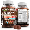 15in1 Houbové žvýkačky s lví hřívou Turecko Tail Cordyceps Reishi Chaga Sweet Toot Maitake Meshima Poria Cocos Shiitake Tremella, Oyster Agaricus Houby pro muže a ženy