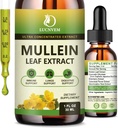 (2 Pack) 98% Absorpce Mullein kapky pro plíce, Výkonný 5 v 1 Mullein Leaf Bylinné Extract, Přírodní Plíce Supplementary Supplementary pro plíce Cleanse & Detox a Respirační Lung zdraví
