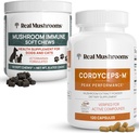 Skutečné houbičky Cordyceps pro lidi (120ct) & Houbová imunitní žvýkačka (60ct) - Bundle for Energy, Vitality & Imunity - Ashwagandha, Astragalus & More - Vegan, Non- GMO, Gluten- Free, Grain- Free