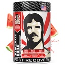 Vintage Build - Post Workout Recovery & Muscle Building Powder Drink for Muscle Strength & Growth - Reduces Solidation - Creatine Monohydrátu, BCAA, L-glutamin - šťavnatý meloun Flavor - 388g