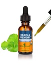 Herb Pharm Organic Nootropic Brain & Memory Supplement with Ginkgo Biloba Liquid Extract: Fast Absorpce pro podporu duševního soustředění, Ginkgo Supplement, Vegan, gluten- Free, Non- GMO, 1 Oz