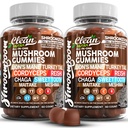 15in1 Houbové žvýkačky s lví hřívou krůtí ocas Cordyceps Reishi Chaga Sweet Toot Maitake Meshima Poria Cocos Shiitake Tremella, Oyster Agaricus Houby pro muže a ženy - 2Pack