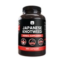 PURE ORIGINAL INGREDIENTS Japanese Knotweed, (365 Kapsle) No Magnesium or Rice Fillers, Vždy čisté, Laboratorní ověřené