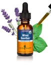 Herb Pharm Úzkost Soother tekuté Bylinné Formule s Kava pro podporu nervového systému - 1 Ounce